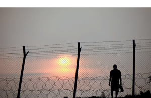 La reinserción social como clave en la estrategia de seguridad pública: un llamado a la acción