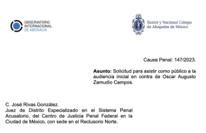 Observatorio Internacional de la Abogacía pide acceso a la audiencia vs abogado que denunció a Gertz de tortura