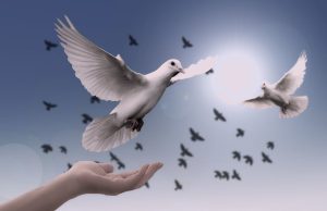 Cultura de paz y derecho penal