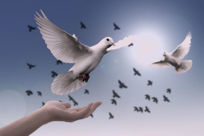 Cultura de paz y derecho penal