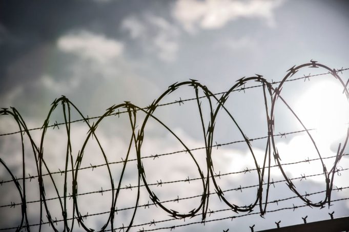 ¿Cuánto cuesta el delito? Análisis sobre la inseguridad y su respuesta penal