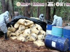 Aseguran en Michoacán toneladas de metanfetaminas Elementos de la Marina aseguran laboratorio de metanfetamina en Michoacán