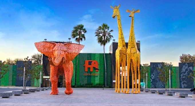 Negligencia institucional y deuda penal con los animales