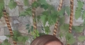 La prevención debe ser una tarea principalmente de Criminólogos, para obtener eficaces e importantes resultados en la sociedad