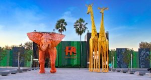 Negligencia institucional y deuda penal con los animales