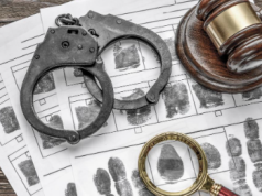La criminología: su utilidad y perspectivas futuras